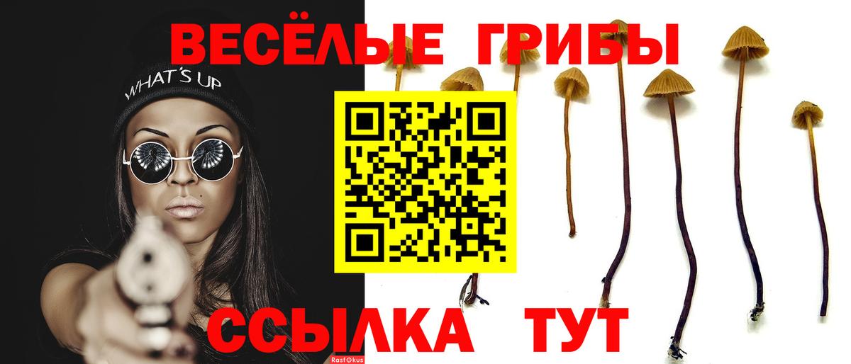 Псилоцибиновые грибы Psilocybine cubensis  Вход с VPN  Галлюциногенные грибы Cubensis  Балашов 
